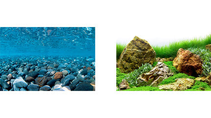 Seaview Respaldo Importado 2 Vistas Modelo BGRR3 para Peces
