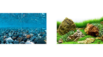 Seaview Respaldo Importado 2 Vistas Modelo BGRR3 para Peces
