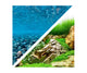 Seaview Respaldo Importado 2 Vistas Modelo BGRR3 para Peces