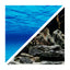 Seaview Respaldo Importado 2 Vistas Modelo BGSS1 para Peces