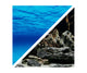 Seaview Respaldo Importado 2 Vistas Modelo BGSS1 para Peces