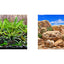 Seaview Respaldo Importado 2 Vistas Modelo BGTT7 para Peces