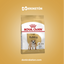 Royal Canin Bulldog Ingles Adulto