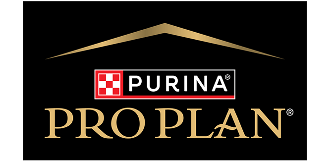Pro Plan
