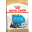 Royal Canin Schnauzer Miniatura Cachorro