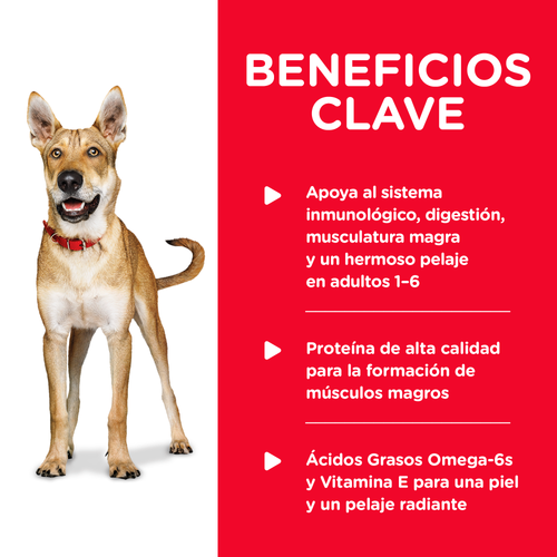 Hill's Science Diet Adult Pollo lata - beneficios clave