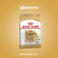 Royal Canin Chihuahua Adulto