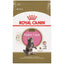 Royal Canin Maine Coon Kitten