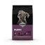 Diamond Puppy