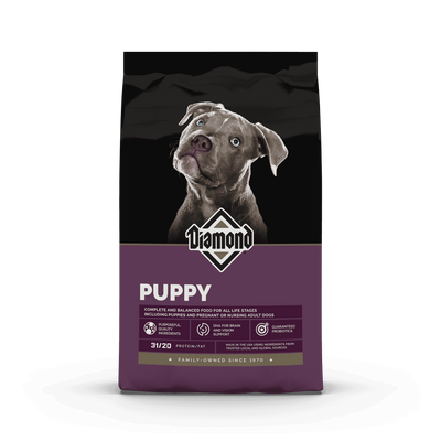 Diamond Puppy