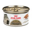 Royal Canin Persa Loaf Gato