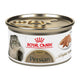 Royal Canin Persa Loaf Gato