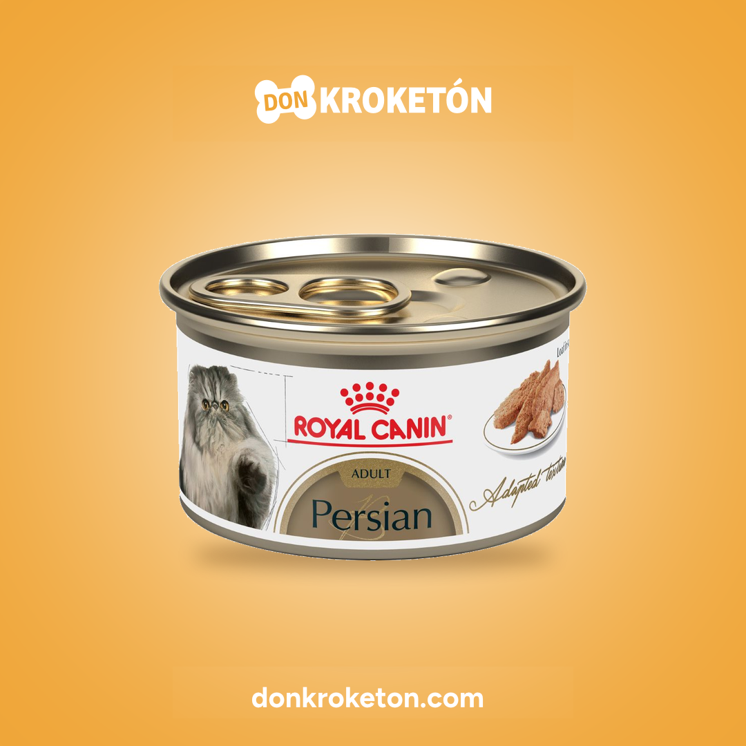 Royal Canin Persa Loaf Gato - imagen comercial Don Kroketon