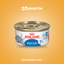 Royal Canin Indoor 7+ Morsels Gato - imagen comercial Don Kroketon