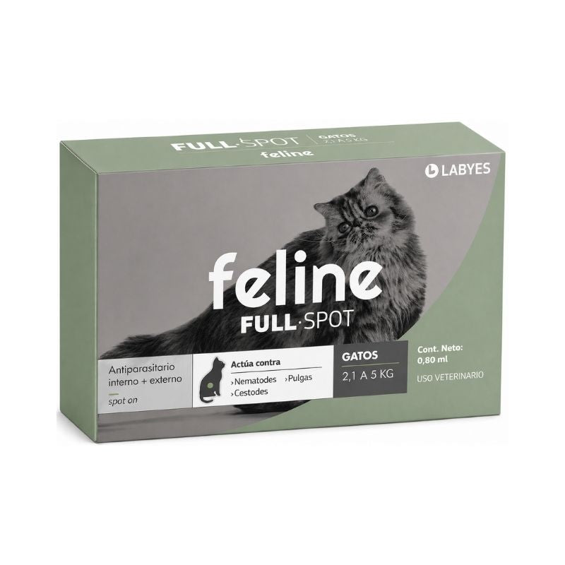 Feline Full Spot