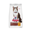 Hills Felino Hairball Control