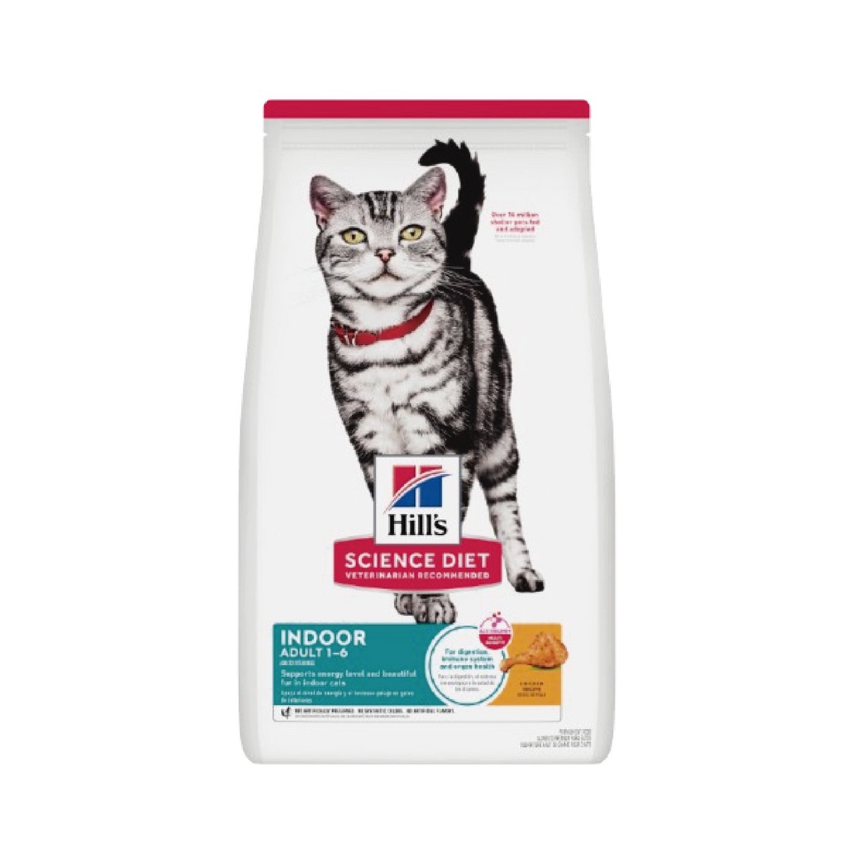 Hills Felino Indoor
