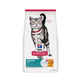 Hills Felino Indoor