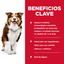 Hill's Science Diet Adult Healthy Cuisine estofado - beneficios clave