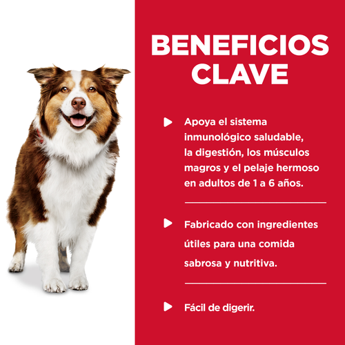 Hill's Science Diet Adult Healthy Cuisine estofado - beneficios clave