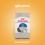 Royal Canin Gato Indoor 3.1kg