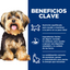 Hill's Science Diet Adult Small Paws Cordero y Arroz - beneficios clave