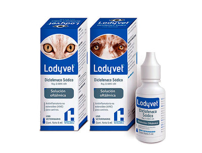 Lodyvet Solución Oftálmica