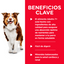 Hill's Science Diet Mature Adult Pollo lata - beneficios clave para perro senior