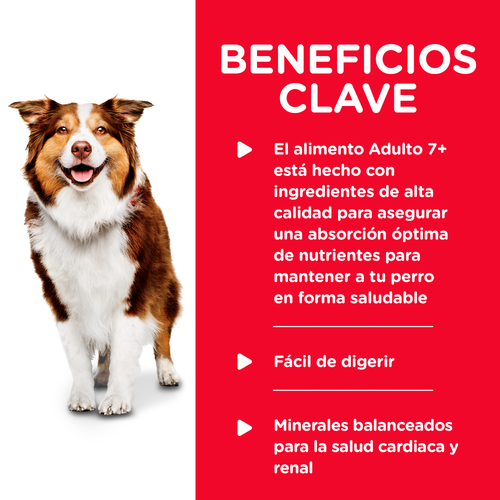 Hill's Science Diet Mature Adult Pollo lata - beneficios clave para perro senior