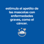 Hill's Prescription Diet ONC Care estofado felino - beneficios de nutricion oncologica