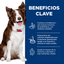 Hill's Science Diet Adult Perfect Digestion estofado - beneficios clave
