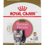Royal Canin Persa Kitten