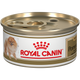 Royal Canin Pomeranian Adulto Lata