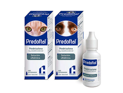 Predoftal Solución Oftálmica