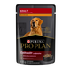 Pro Plan Adulto Perro Sobre Pollo