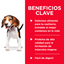 Hill's Science Diet Puppy Pollo lata - beneficios clave para cachorro
