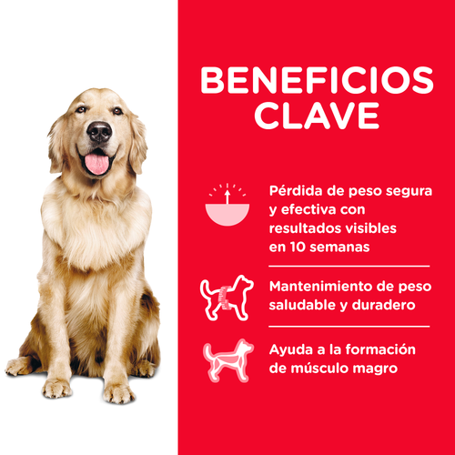 Hill's Science Diet Adult Perfect Weight - beneficios clave de control de peso