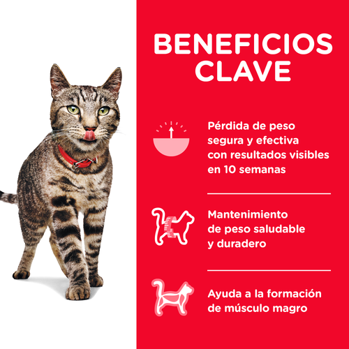 Hill's Science Diet Adult Perfect Weight felino seco - beneficios clave de control de peso