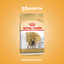 Royal Canin Bulldog Francés Adulto - imagen comercial Don Kroketon