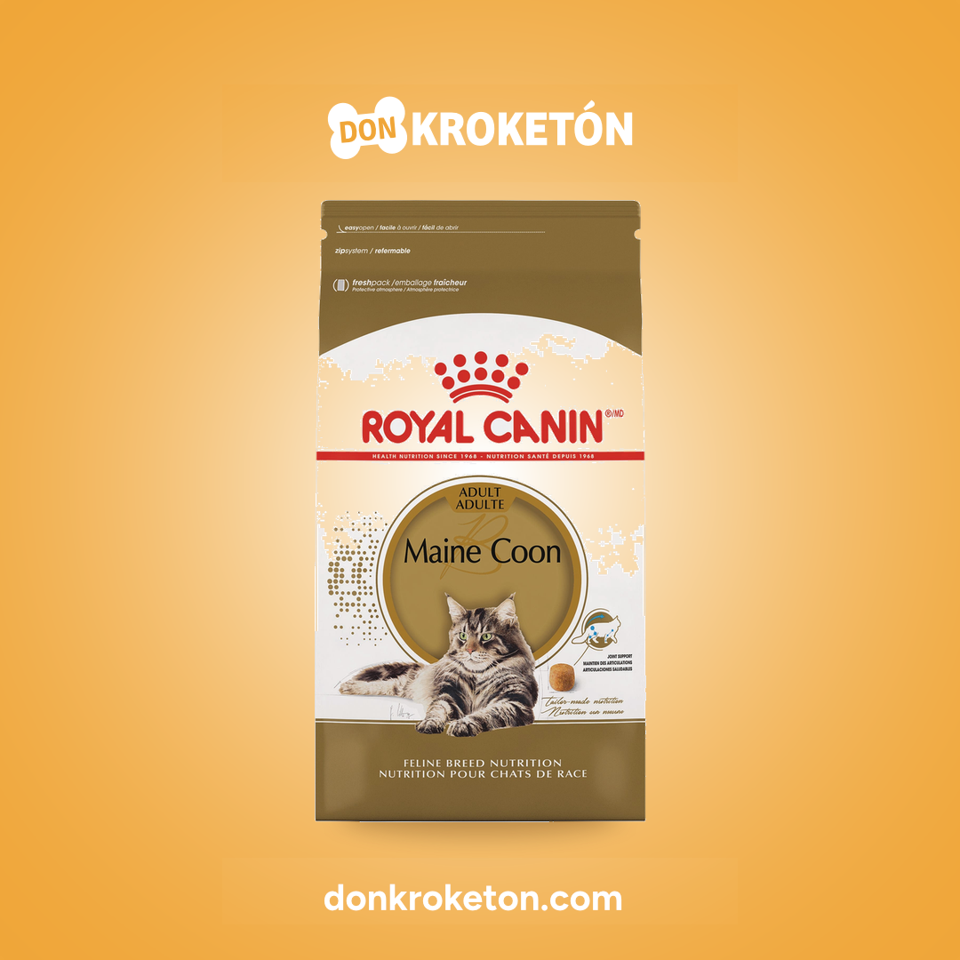 Royal Canin Maine Coon Adulto - imagen comercial Don Kroketon