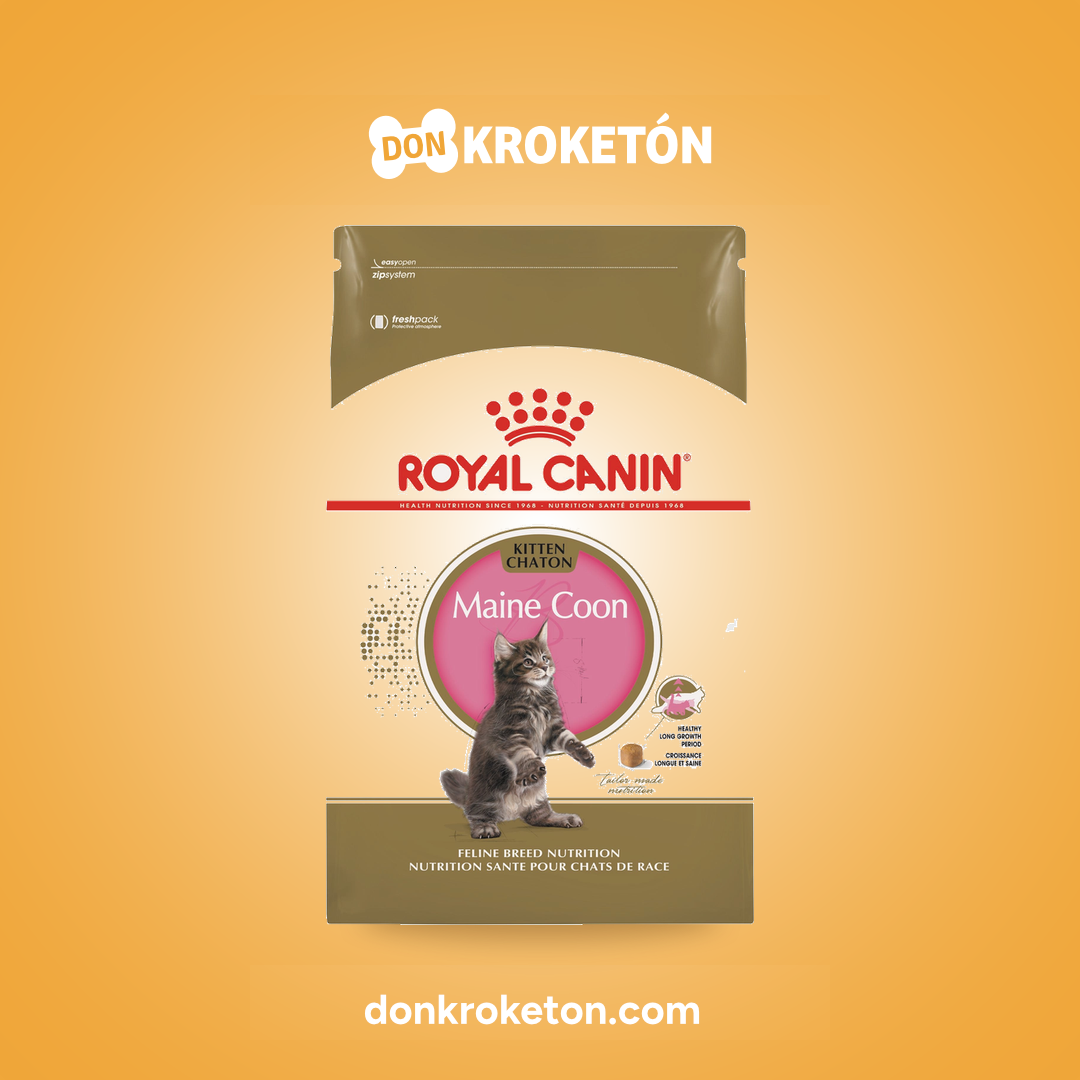 Royal Canin Maine Coon Kitten - imagen comercial Don Kroketon