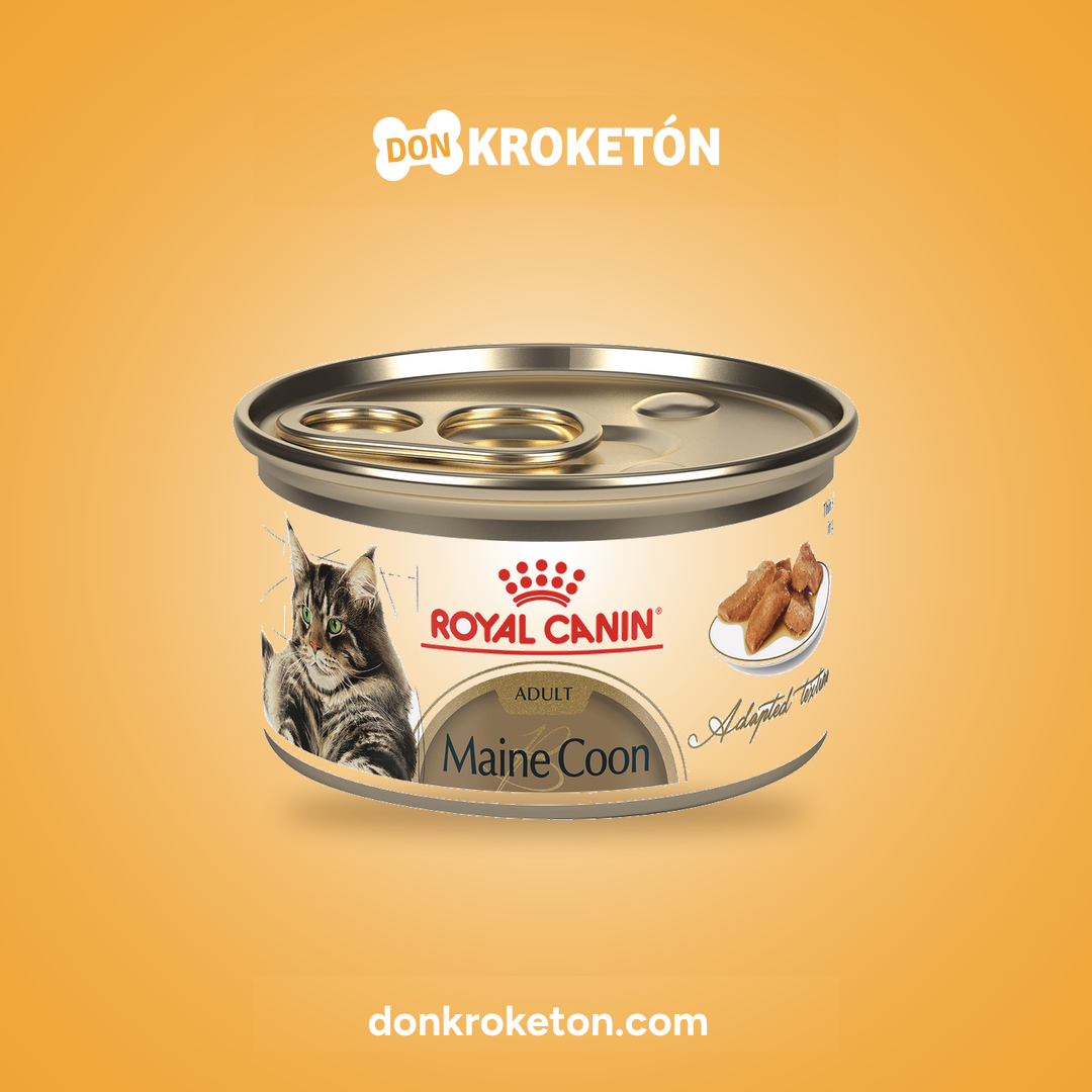 Royal Canin Maine Coon Thin Slices Gato - imagen comercial Don Kroketon