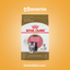 Royal Canin Persa Kitten - imagen comercial Don Kroketon