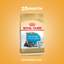 Royal Canin Schnauzer Miniatura Cachorro - imagen comercial Don Kroketon