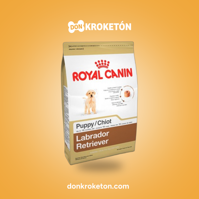 Royal Canin Labrador Cachorro - imagen comercial Don Kroketon