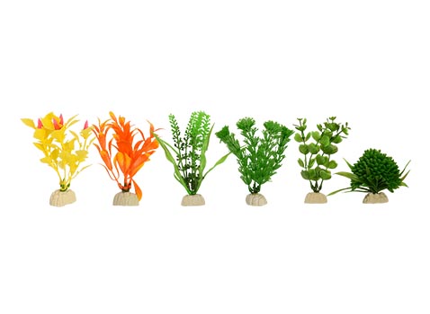 Planta Importada Sunny Bolsa Azul