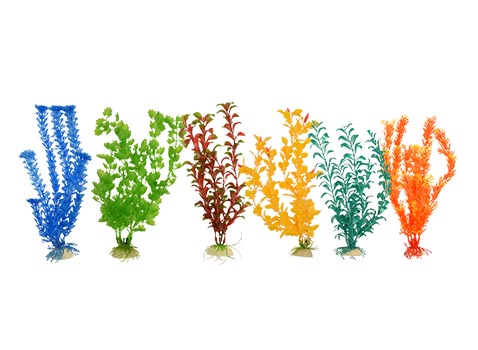 Planta Importada Sunny Bolsa Azul