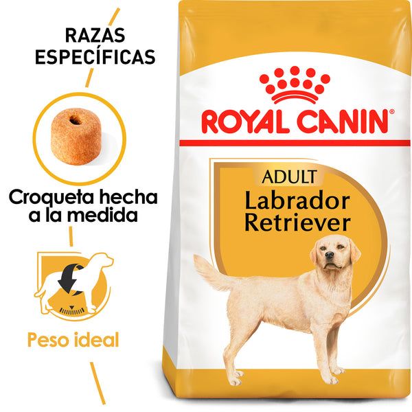 Royal Canin Labrador Adulto 13.6kg