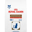 Royal Canin GastroIntestinal Hi Energy Felino 4kg