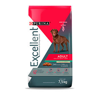 Excellent Adulto 20 kg